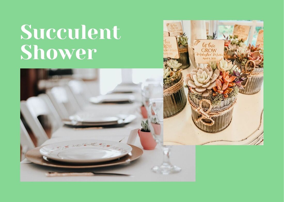 Succulent shower mood board with individual succulent favors and floral china