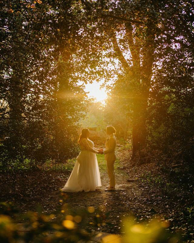 bride and groom holding hands surrounded by trees during golden hour