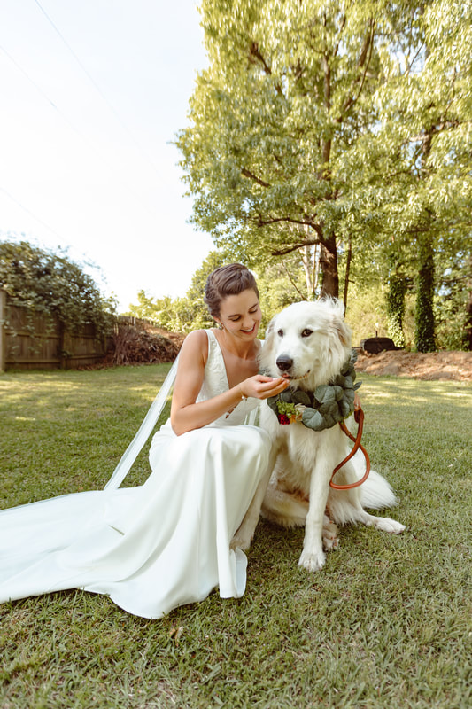bride petting dog wearing floral leash