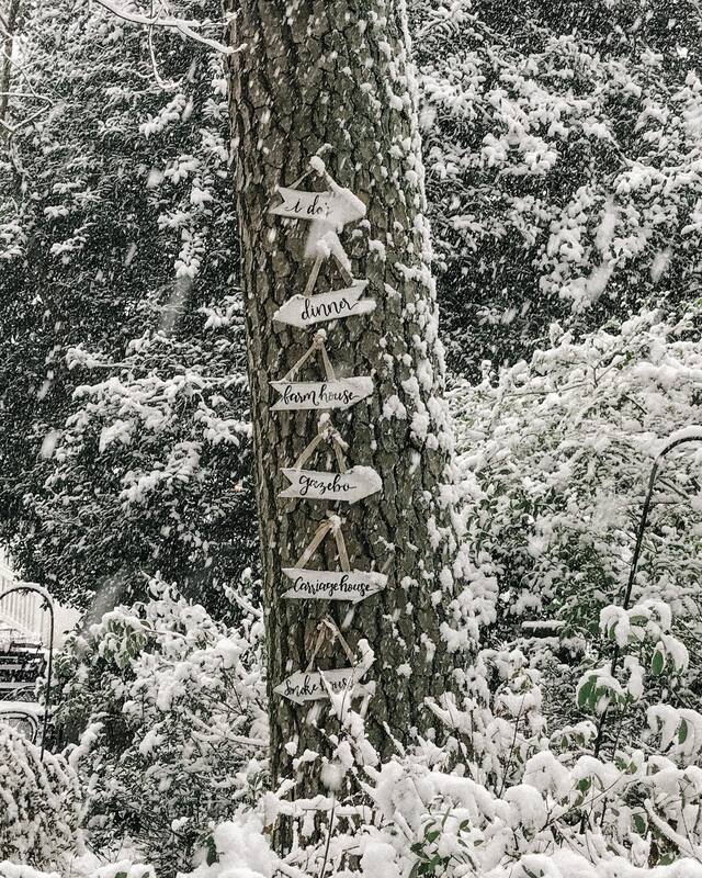 tree with direction arrows during snowfall