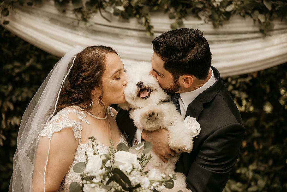 bride and groom kissing white poodle at outdoor altar