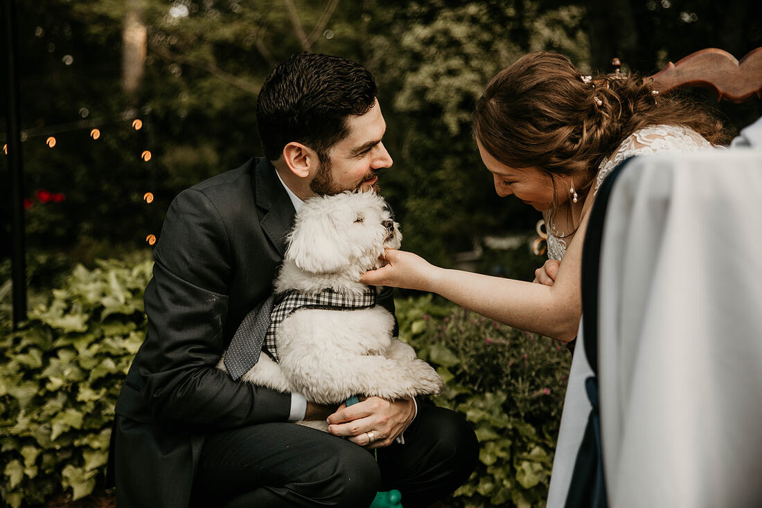 bride and groom with pet dog