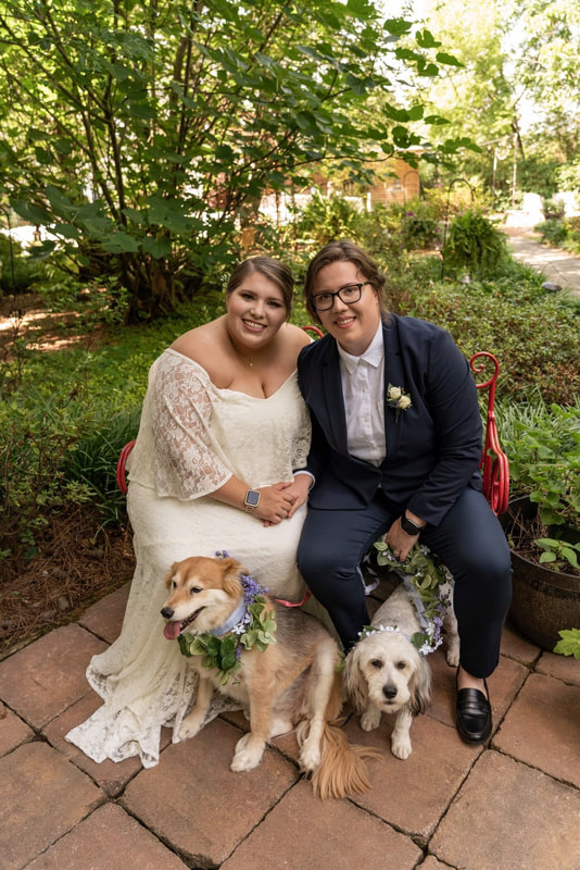brides posing on red bench with pet dog
