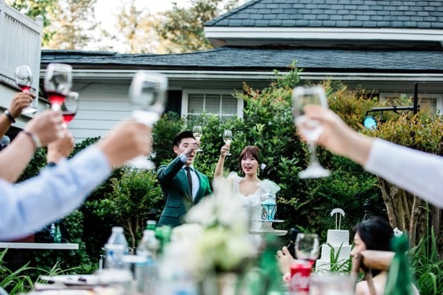 guests toasting bride and groom at April wedding