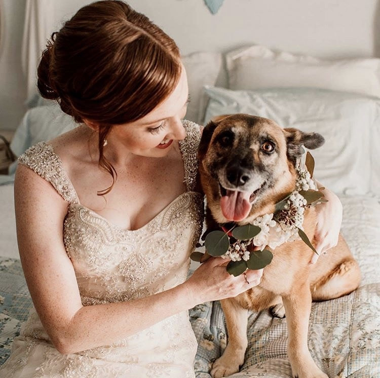 Bride hugging dog wearing collar made of flowers and eucalyptus