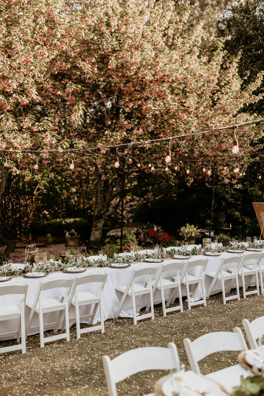 Cherry blossom tree blooming over wedding reception tables