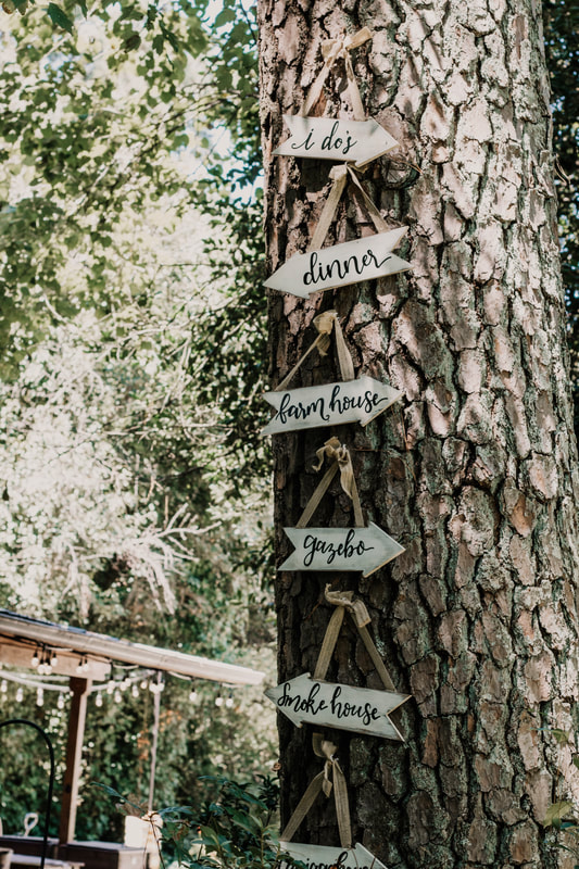 tree with wooden direction signs