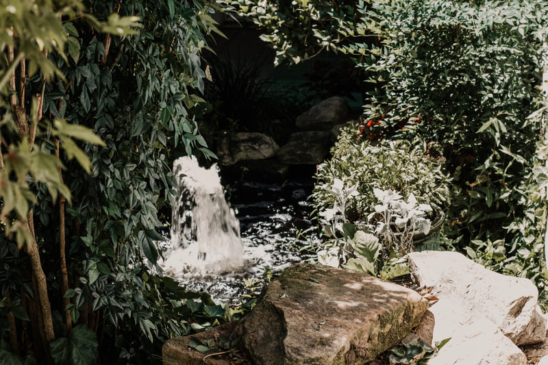 small pond with fountain