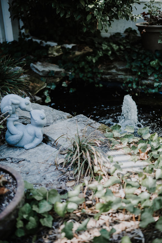 pond with kissing frogs statue