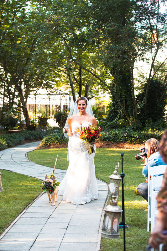 bride with fall bouquet walking down outdoor ceremony aisle with french bulldog