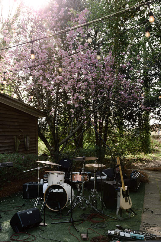 live band setup under cherry blossom tree