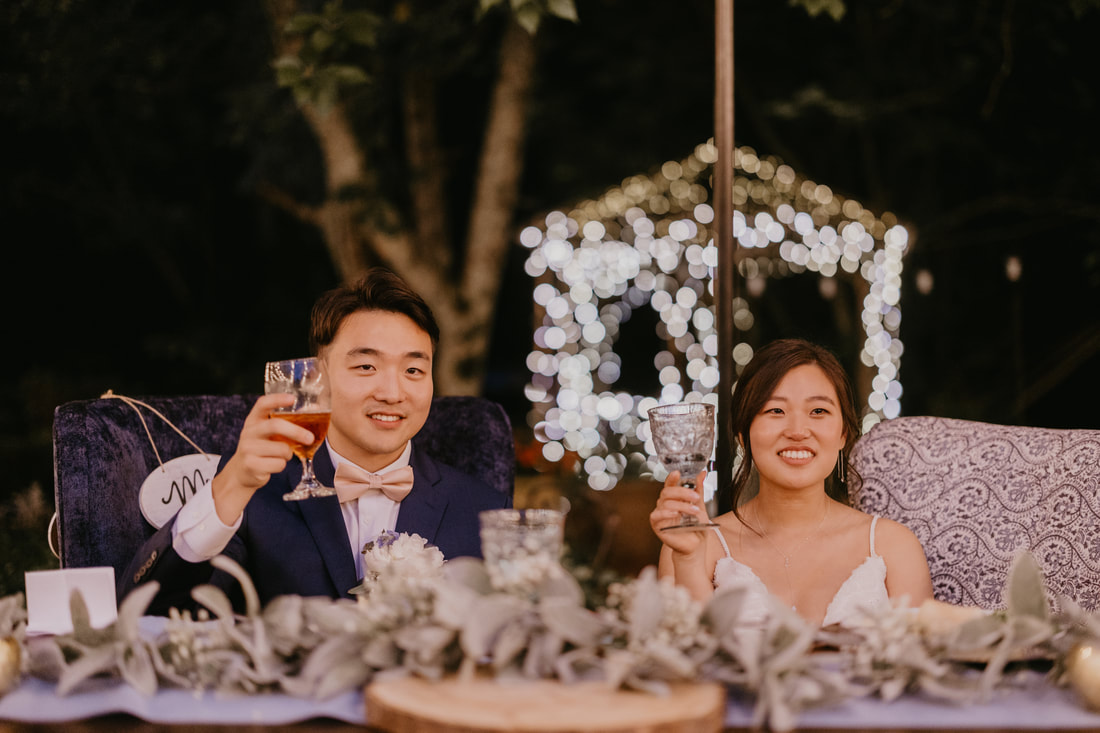 bride and groom raising glasses during toasts