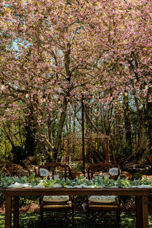 sweetheart table in front of cherry blossom